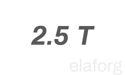 25t