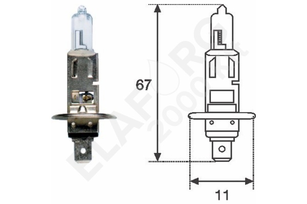 h1_12v