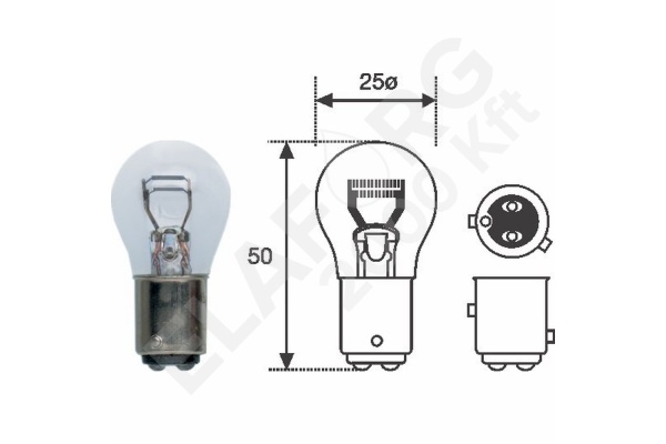 p21_4w_12v